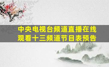 中央电视台频道直播在线观看十三频道节目表预告