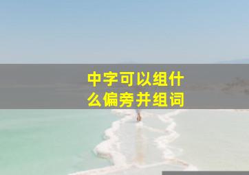 中字可以组什么偏旁并组词