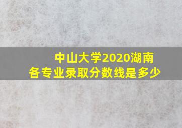 中山大学2020湖南各专业录取分数线是多少