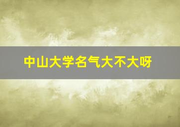 中山大学名气大不大呀