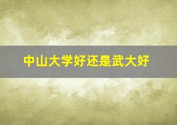 中山大学好还是武大好