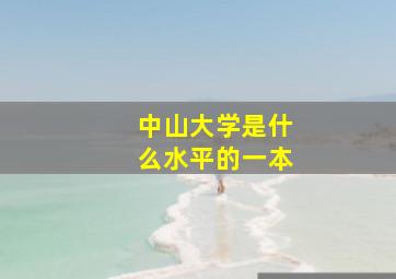 中山大学是什么水平的一本