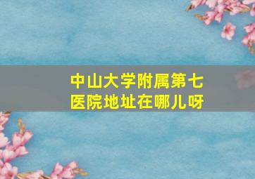 中山大学附属第七医院地址在哪儿呀