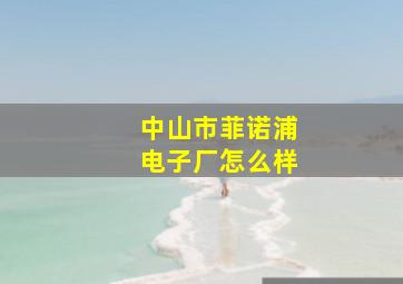 中山市菲诺浦电子厂怎么样