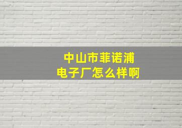 中山市菲诺浦电子厂怎么样啊