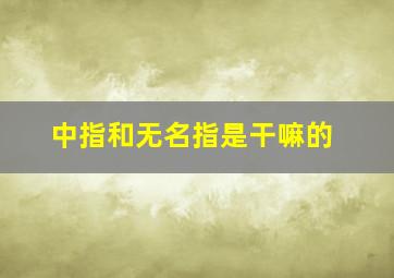 中指和无名指是干嘛的