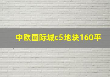 中欧国际城c5地块160平