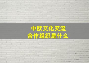 中欧文化交流合作组织是什么