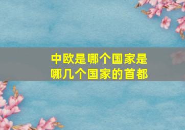 中欧是哪个国家是哪几个国家的首都