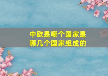 中欧是哪个国家是哪几个国家组成的