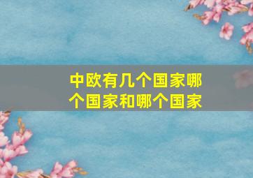 中欧有几个国家哪个国家和哪个国家