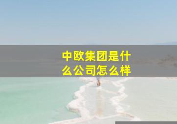 中欧集团是什么公司怎么样