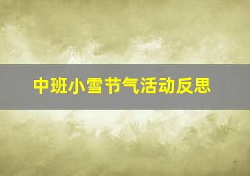 中班小雪节气活动反思