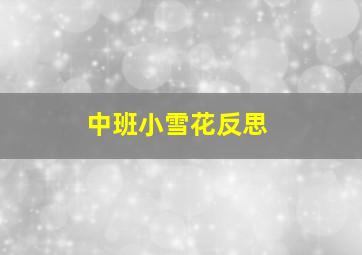 中班小雪花反思