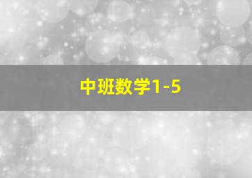 中班数学1-5