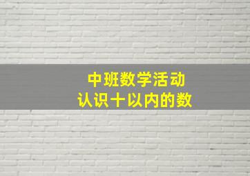 中班数学活动认识十以内的数