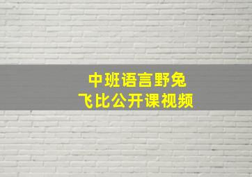 中班语言野兔飞比公开课视频