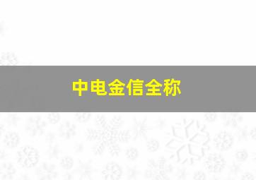 中电金信全称