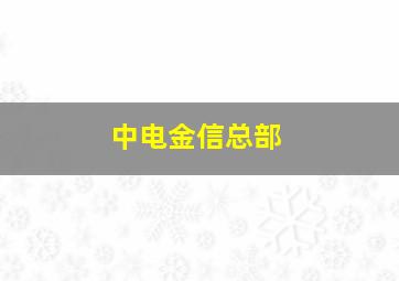 中电金信总部