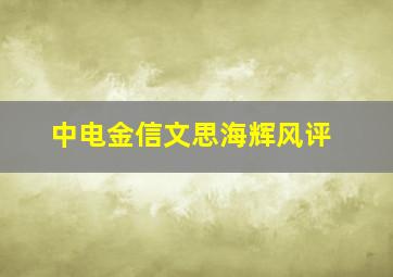 中电金信文思海辉风评