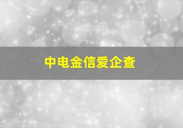 中电金信爱企查