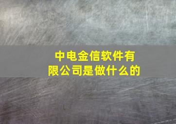 中电金信软件有限公司是做什么的