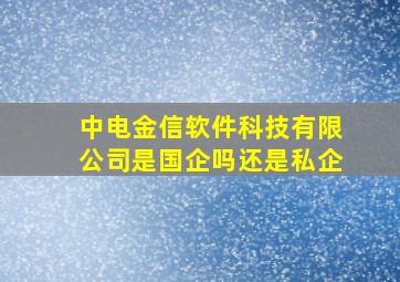 中电金信软件科技有限公司是国企吗还是私企