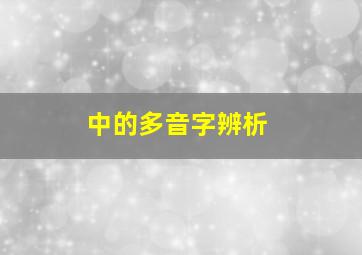 中的多音字辨析