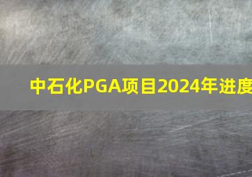 中石化PGA项目2024年进度