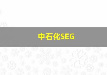 中石化SEG