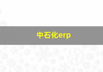 中石化erp