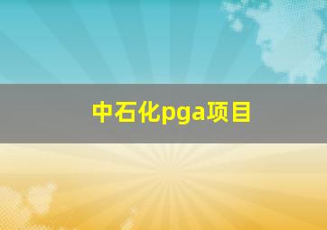 中石化pga项目