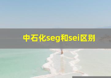 中石化seg和sei区别