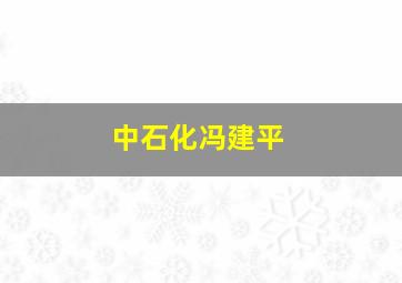 中石化冯建平