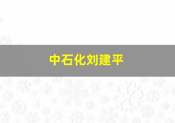 中石化刘建平