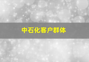 中石化客户群体