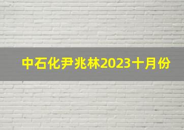 中石化尹兆林2023十月份