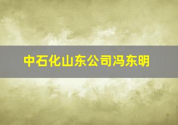 中石化山东公司冯东明