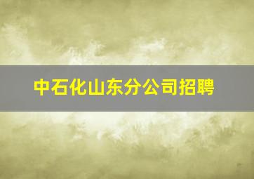 中石化山东分公司招聘