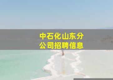 中石化山东分公司招聘信息