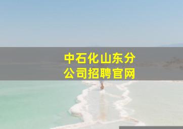 中石化山东分公司招聘官网