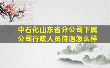 中石化山东省分公司下属公司行政人员待遇怎么样