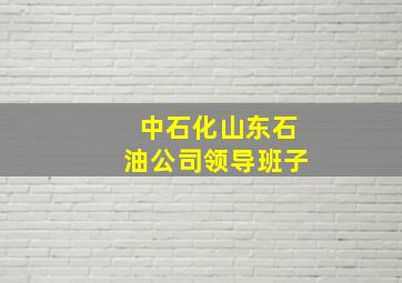 中石化山东石油公司领导班子