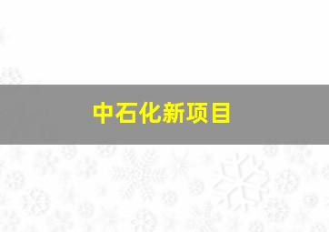 中石化新项目