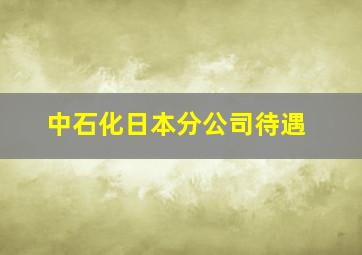 中石化日本分公司待遇