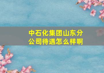 中石化集团山东分公司待遇怎么样啊