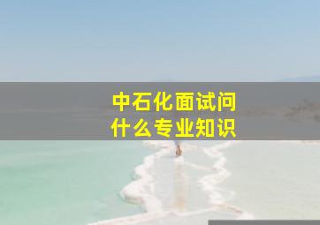 中石化面试问什么专业知识