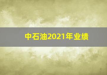 中石油2021年业绩