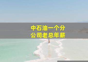 中石油一个分公司老总年薪