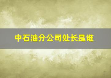 中石油分公司处长是谁